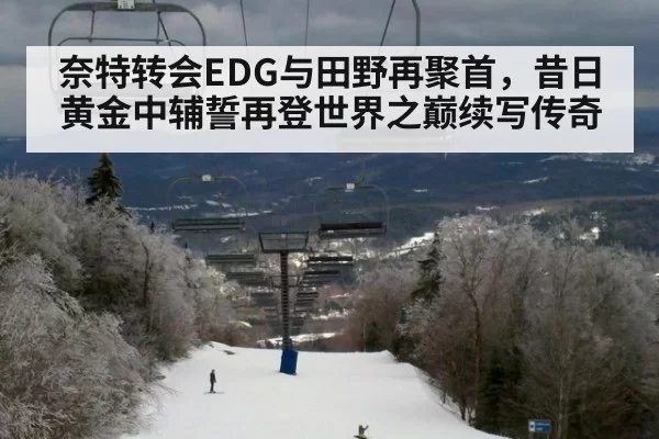 奈特转会EDG与田野再聚首，昔日黄金中辅誓再登世界之巅续写传奇